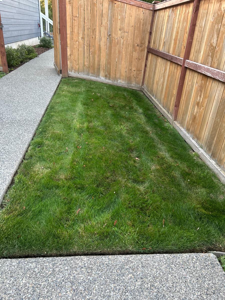 V&T Landscaping Services project photo 5