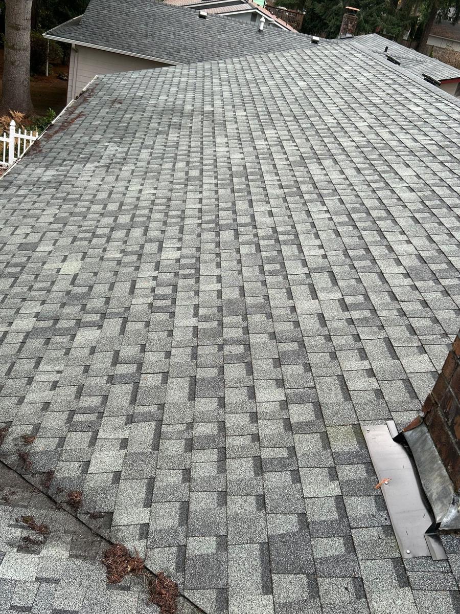 V&T Landscaping Services project photo 4