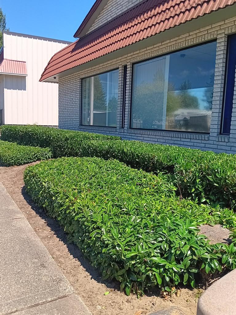V&T Landscaping Services services