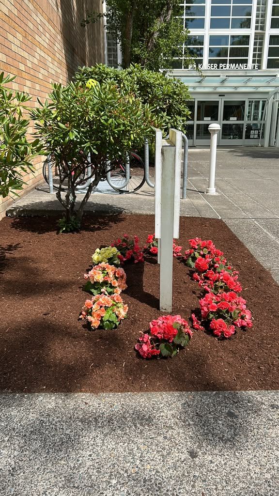 V&T Landscaping Services project photo 1