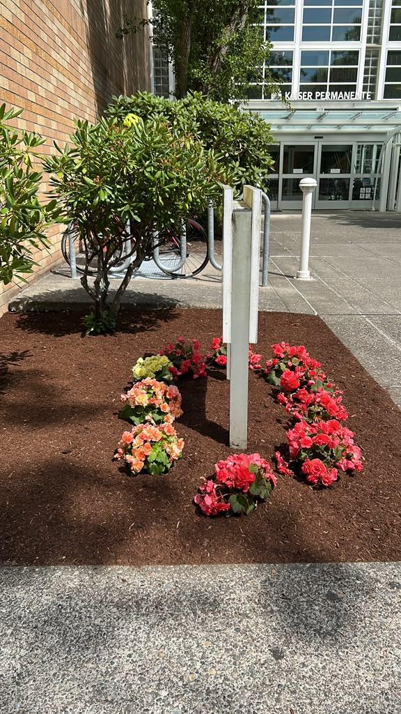 V&T Landscaping Services project photo 1