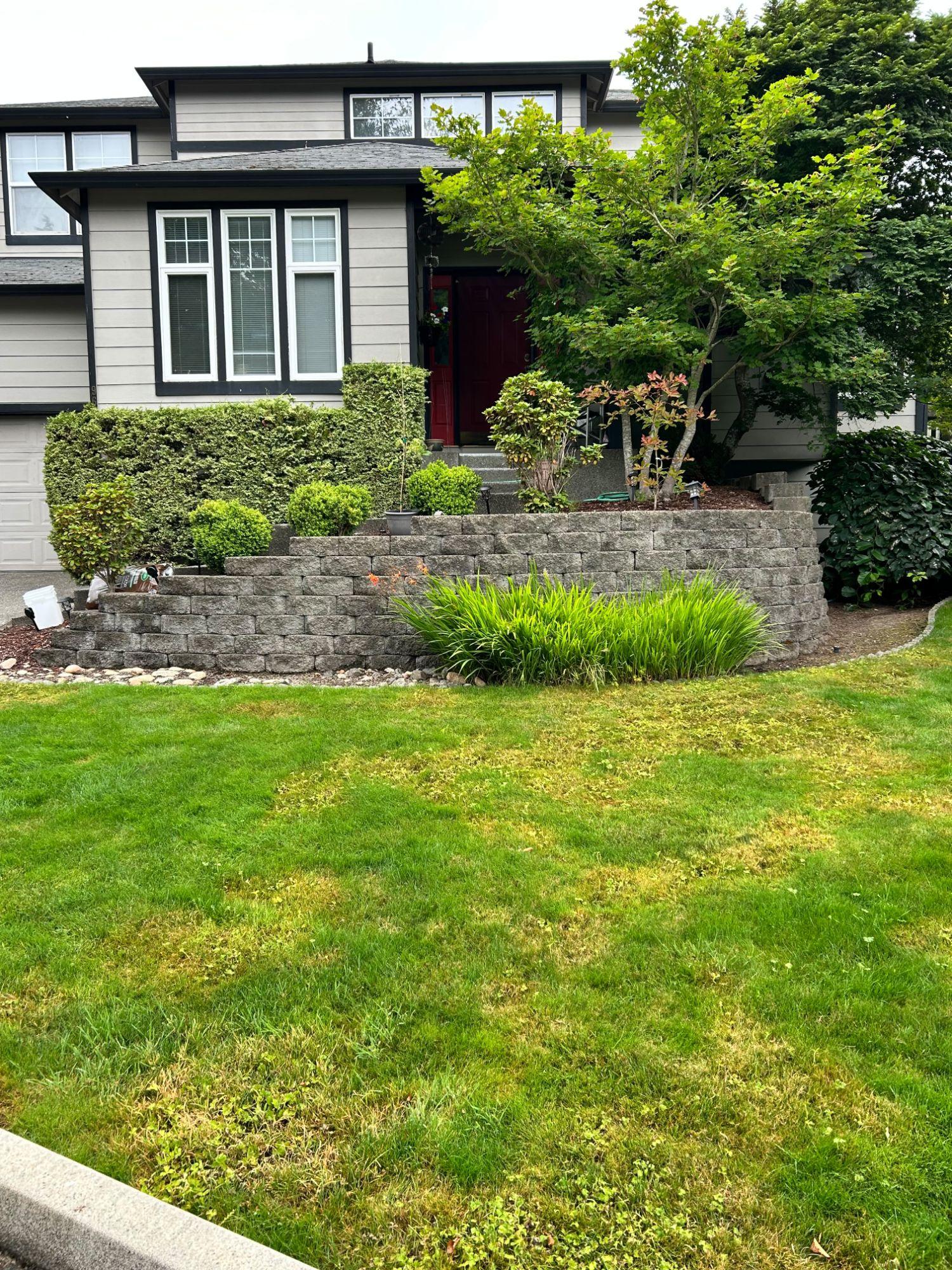 Front yard with a trimmed lawn, shrubs, and a stone retaining wall maintained by V&T Landscaping Services