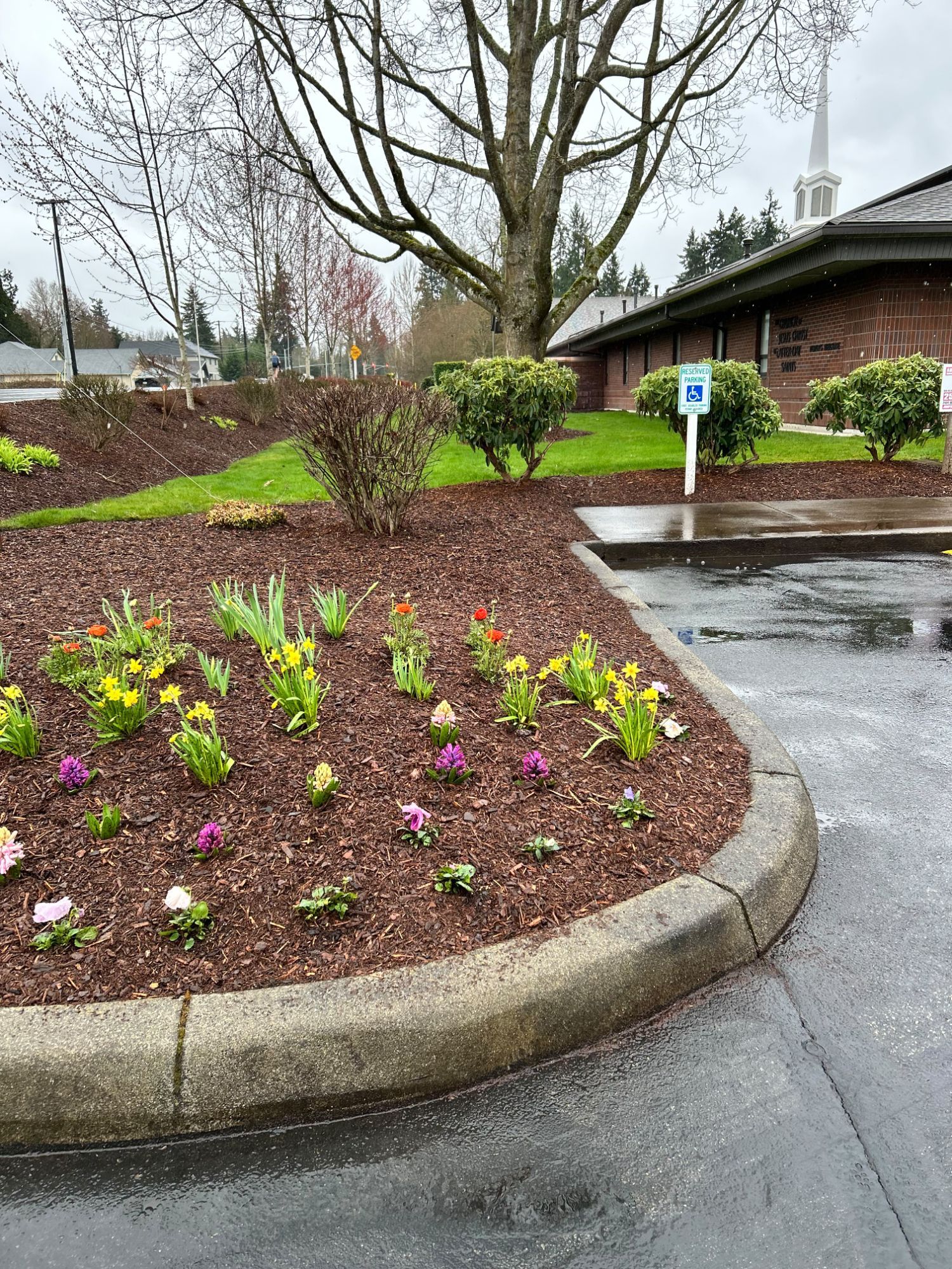 V&T Landscaping Services project photo 12