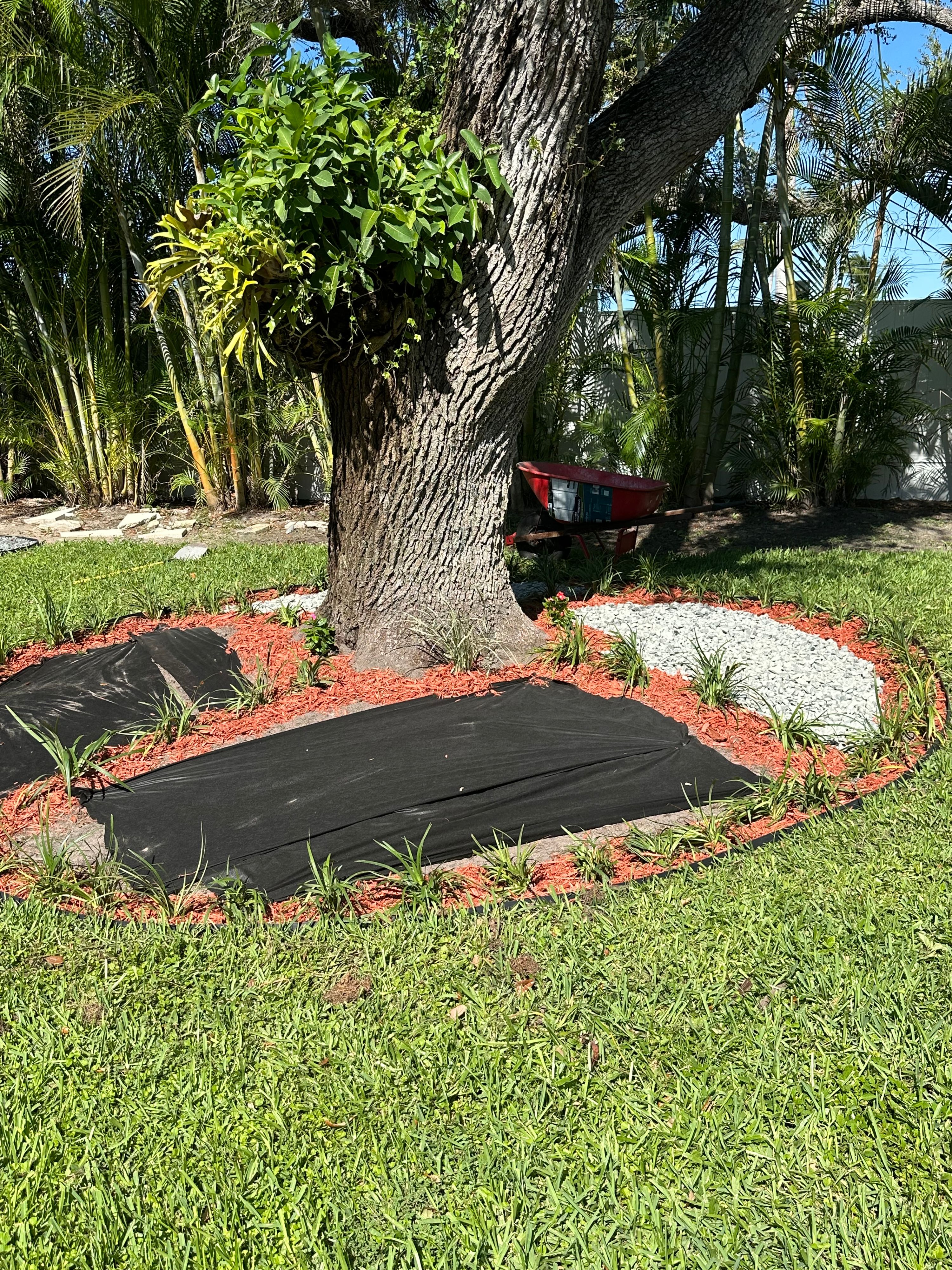 VERMOR Land & Tree Service LLC project photo 1