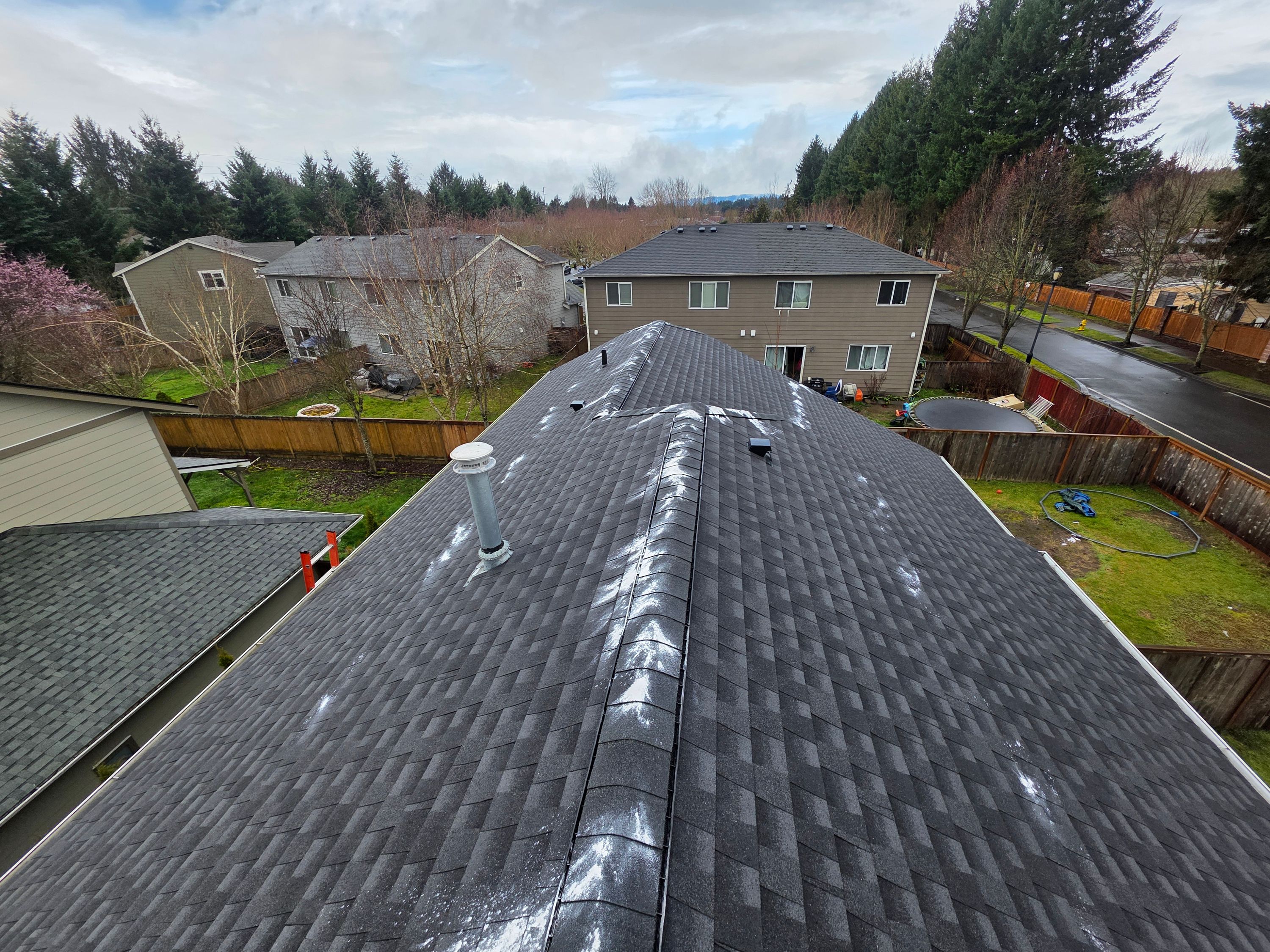 Roof & Gutter Cleaning