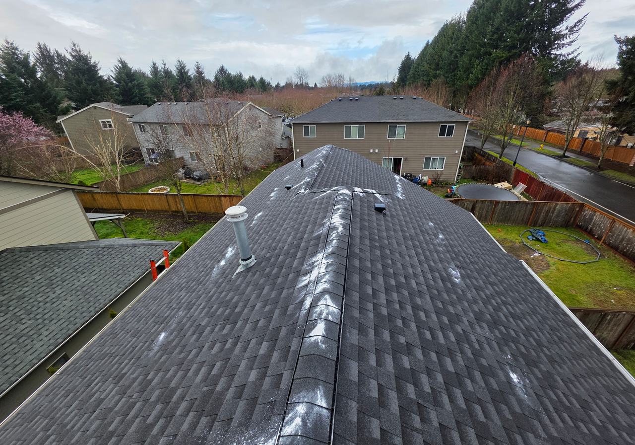 Roof & Gutter Cleaning