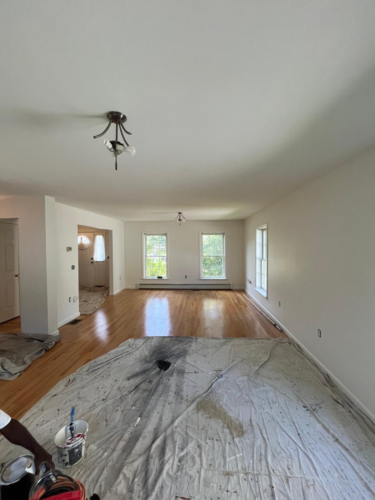 Rental Turnover Painting