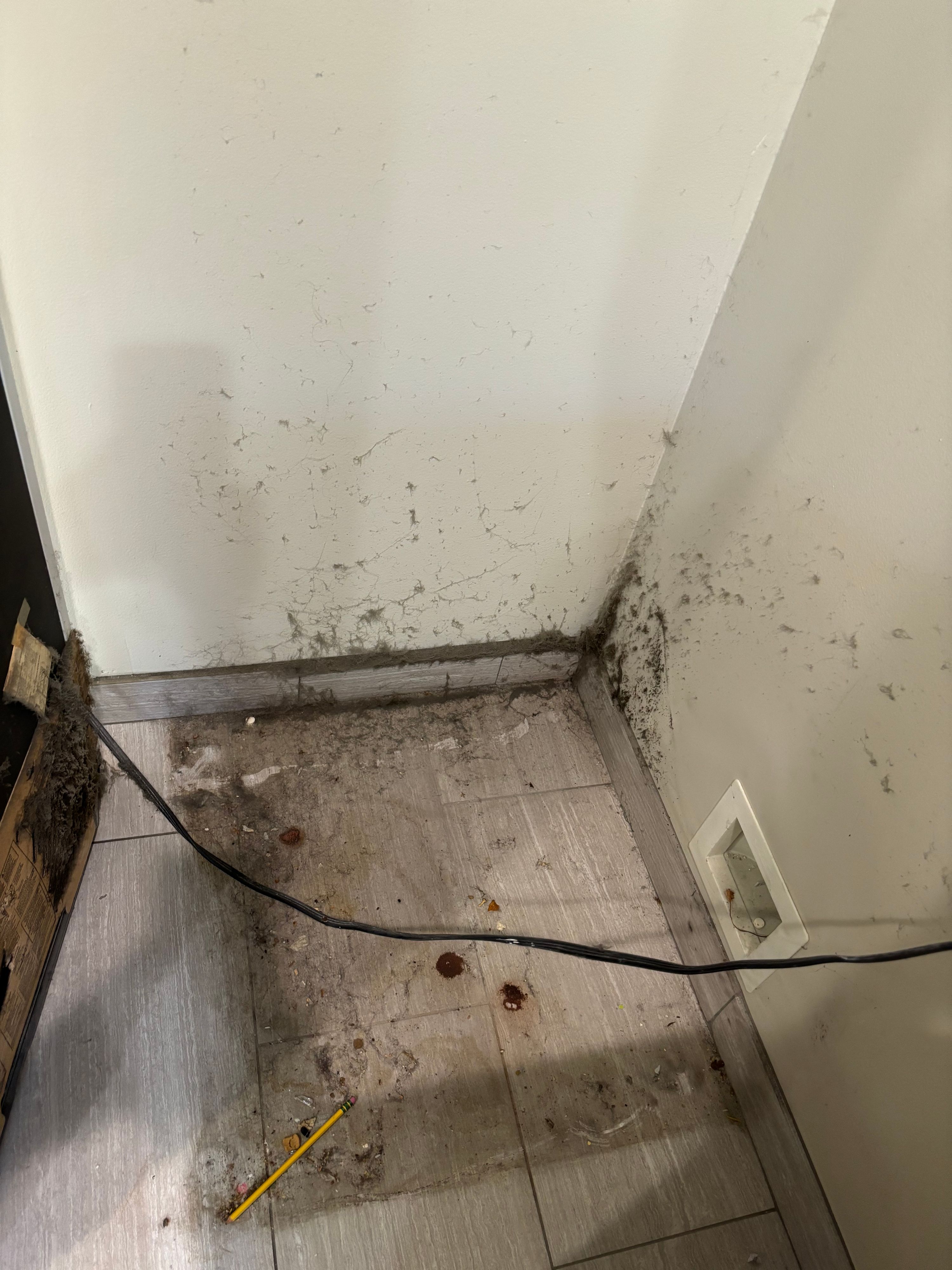 YM Elite Cleaners project photo 3